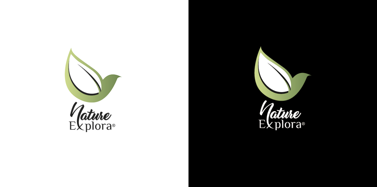 Création d'un logo pour agence de voyage symbolisant un oiseau et une feuille - Graphiste Rennes - Doriane BONOMO